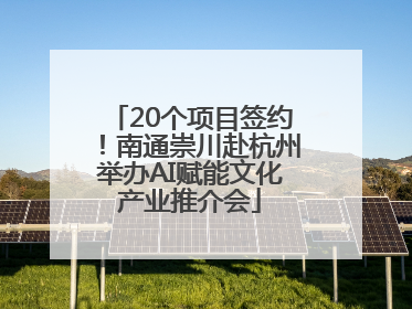 20个项目签约！南通崇川赴杭州举办AI赋能文化产业推介会