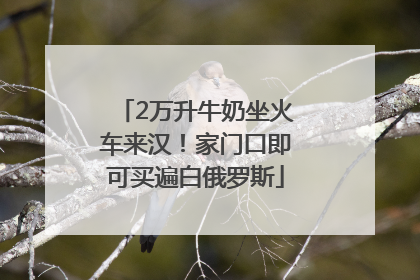 2万升牛奶坐火车来汉！家门口即可买遍白俄罗斯