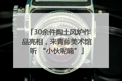 30余件陶土风炉作品亮相，来青藤美术馆听 “小伙呢喃”
