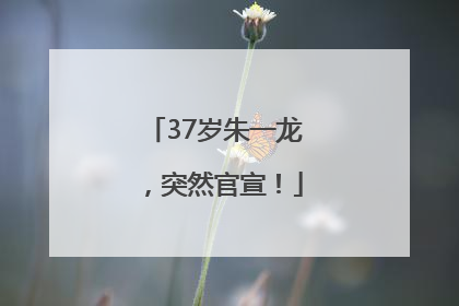 37岁朱一龙，突然官宣！