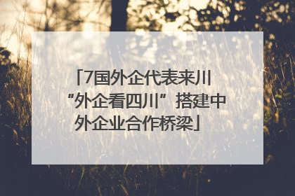 7国外企代表来川 “外企看四川”搭建中外企业合作桥梁