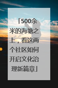 500余米的海塘之上，看这两个社区如何开启文化治理新篇章