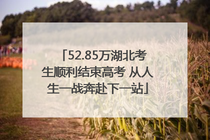 52.85万湖北考生顺利结束高考 从人生一战奔赴下一站