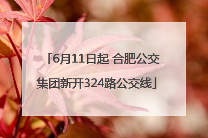 6月11日起 合肥公交集团新开324路公交线
