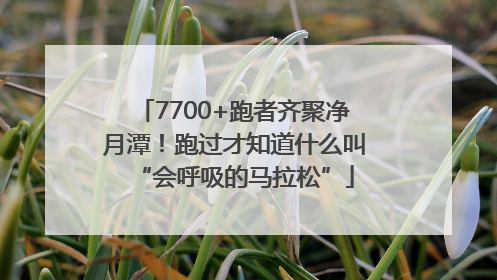 7700+跑者齐聚净月潭！跑过才知道什么叫“会呼吸的马拉松”