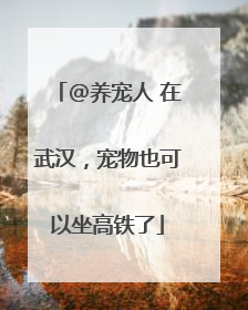 @养宠人 在武汉，宠物也可以坐高铁了
